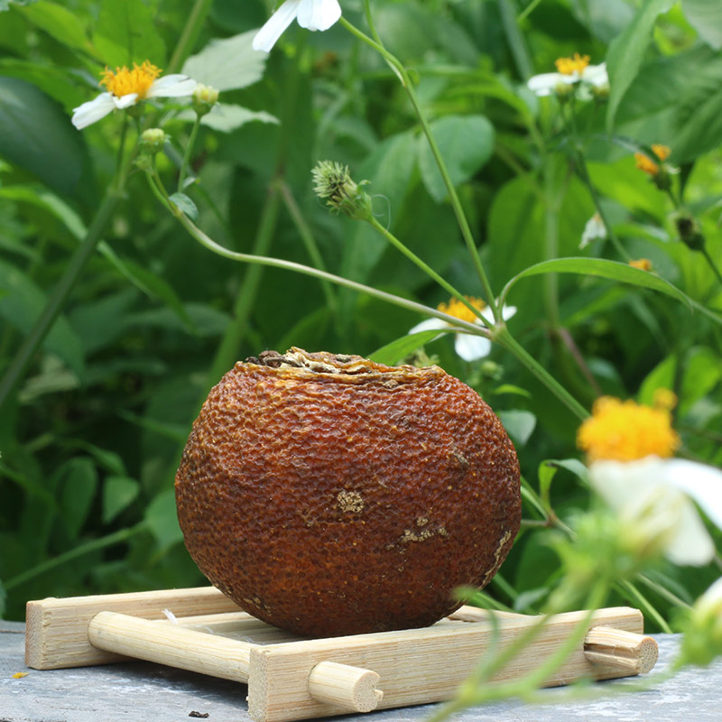 2016高山柑普生茶100克鐵罐裝